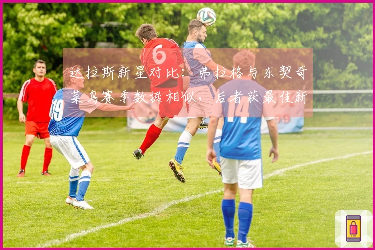 达拉斯新星对比：弗拉格与东契奇菜鸟赛季数据相似，后者获最佳新秀荣誉