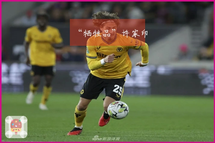 “牺牲品”许家印